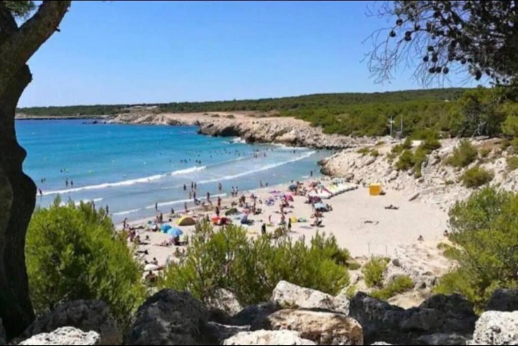 Studio Mer Et Vacances Sausset-les-Pins Εξωτερικό φωτογραφία